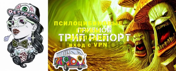 метадон Коряжма
